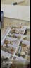 剑桥国际少儿英语 Power up教材  3级别 主课本+练习册带线上帐号+home booklet（剑桥大学出版社） 剑桥官方考试教材 YLE考级教材 英文原版进口 儿童英语学习 实拍图