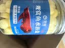 宠翰观赏鱼盐鱼缸清洁盐黄粉盐海盐净化水质水族专用盐养鱼用品2斤 实拍图