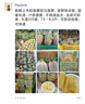 CONTEC康泰血氧仪家用医用级指夹式氧饱夹国际认证脉率检测仪老人CMS50E 实拍图