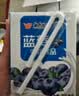 风行蓝莓风味牛奶饮品 200ml*24盒 整箱牛奶早餐奶礼盒装送礼 实拍图