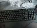 前行者GX 87/104键真机械手感游戏键盘鼠标套装有线静音薄膜键鼠台式电脑网吧笔记本办公背光USB外接外设 黑色-彩虹光键盘【加厚升级版】 实拍图