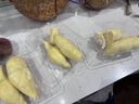 佳沃（JOYVIO）泰国易开椰青香水椰子 2个尝鲜装 中果800g+ 源头直发包邮 实拍图