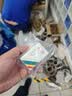 初工挂锁 防水锁头门锁工具锁 家用学校商铺门锁小防盗窗锁小挂锁30mm 实拍图