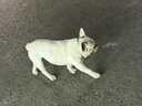 苹果Apple Pencil 一代/二代 苹果手写笔二手苹果手写笔/电容笔/触控笔二手平板电脑配件 苹果Pencil 二代手写笔+备用笔尖【99新】 实拍图