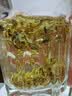 京东京造锁鲜德式双酵母二发精酿啤酒整箱装500ml*12 麦香更浓 世界杯看球 实拍图