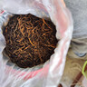印象堂茶叶福建金骏眉特级金芽红茶新茶250g端午节日礼品送长辈自己喝 实拍图