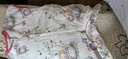 贝肽斯婴儿睡袋夏季竹棉纱布宝宝睡衣分腿儿童防踢被睡袋前2后2乔兔 M 实拍图