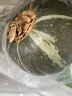 京鲜匠山东贝贝南瓜正宗 栗香小南瓜 香甜粉糯老瓜 蔬菜源头产地直发 精选装 净 4.5斤 （4-9个） 实拍图