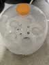 小熊（Bear）煮蛋器蒸蛋器单层家用自动断电迷你早餐神器鸡蛋羹蒸鸡蛋器蒸蛋机炖蛋器蒸蛋锅防干烧便携式电蒸锅 单层 实拍图
