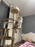 CHONLDERL猫爬架猫窝猫树一体大型太空舱猫架子四季通用剑麻猫咪玩具用品 【175CM 10层双太空舱】奥斯汀AST-1 实拍图