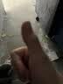 志高（CHIGO）电蚊拍灭蚊灯可折叠两用充电式家用灭捕蚊子苍蝇拍紫光灯驱蚊器 实拍图