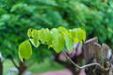 腾龙（Tamron）A065S 70-180mm F/2.8 Di III VC VXD G2二代防抖大光圈长焦变焦全画幅微单镜头(索尼全幅E口) 实拍图