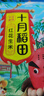 十月稻田 花生米 2斤 东北红花生仁 五谷杂粮粗粮 八宝粥原料 杂粮米 实拍图