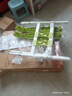 康际老年马桶坐便扶手家用卫生间老人安全助力架厕所起身器免打孔护栏 实拍图