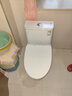九牧（JOMOO）11173-2-1/31KD-3大力神家用马桶虹吸抗菌节水洁具305坑距 实拍图