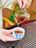 音朗 茶叶普洱茶 勐海茶化石熟普陈香糯香碎银子茶叶礼盒送礼2罐700g 实拍图