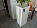树新风空气净化器除甲醛猫毛TVOC异味除菌除花粉过敏认证家用大空间全效净化器T3 实拍图
