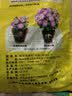 美乐棵缓释营养粒通用型盆栽植物缓释肥花肥料磷酸二氢钾种蔬菜养花专用 通用型缓释肥2.8KG 实拍图