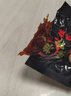 三只松鼠蜀香牛肉麻辣味100g袋装休闲零食肉干巴蜀风味牛肉干 保真牛肉干 实拍图