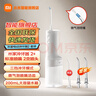 小米（MI）米家电动冲牙器2 家用洗牙器美牙仪 牙齿冲洗器清洁器 口腔护理  3档模式 专业微气泡喷嘴长续航 【升级款】米家电动冲牙器2 （微气泡喷嘴+标准喷嘴） 实拍图