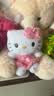 名创优品（MINISO）三丽鸥Hello Kitty凯蒂猫玫瑰之约公仔玩偶玩具抱枕生日七夕礼物 实拍图