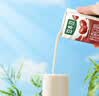 豆本豆唯甄红枣豆奶 250ml*24盒/箱2.3g植物蛋白饮料儿童营养学生早餐奶 实拍图
