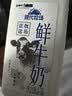 蒙牛（MENGNIU）现代牧场鲜牛奶1500ml巴氏杀菌桶装鲜牛奶 实拍图