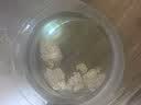 南京同仁堂陈皮125g 新会陈皮正宗老陈皮广东特产泡水喝中药材正品官方专用 实拍图