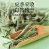 西知堂甜菊叶150g精选甜叶菊天然代糖菊叶干泡水泡茶养生花茶甜菊糖自营 实拍图