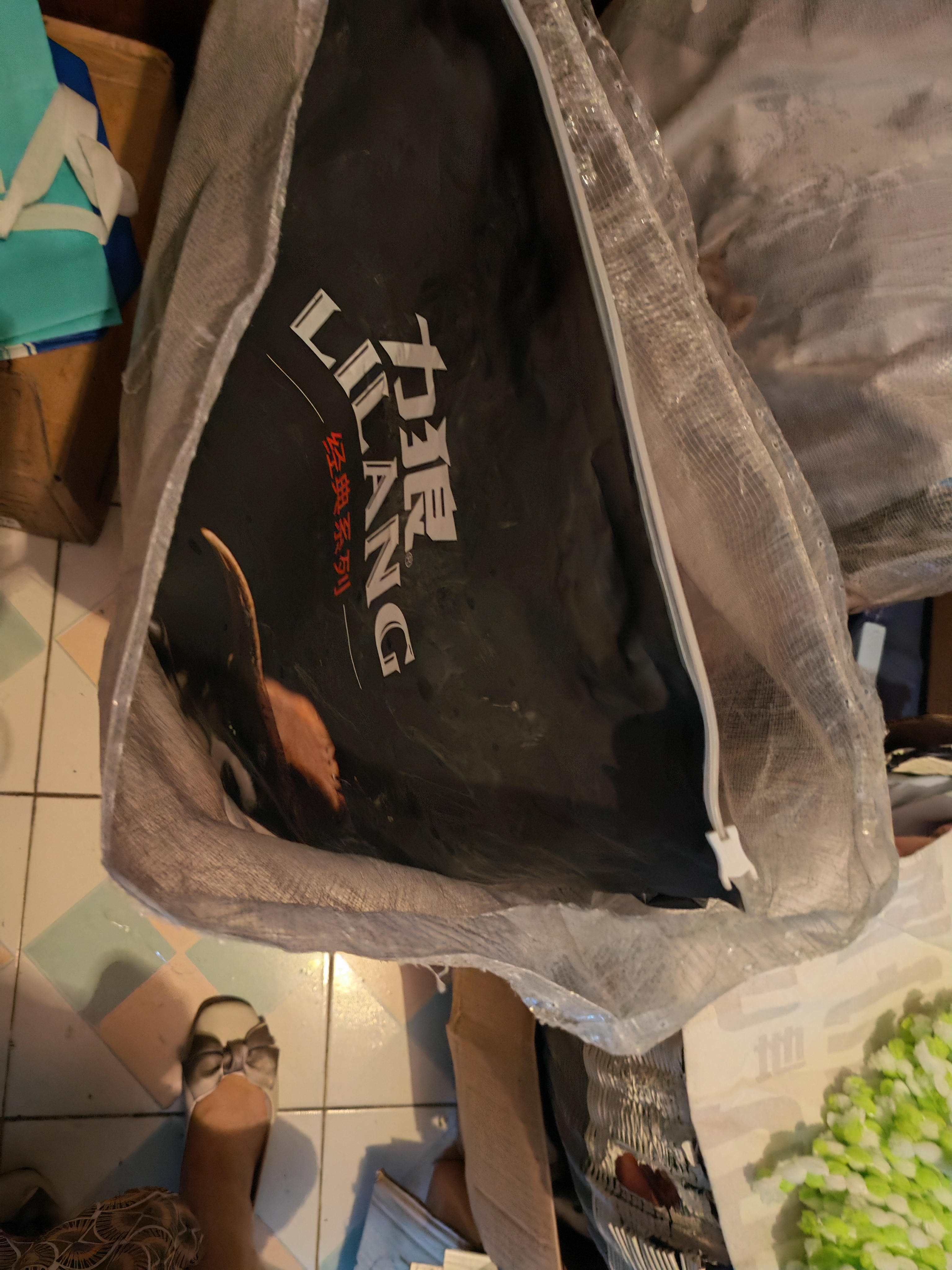 力狼（LILANG）狗粮成犬幼犬中大型犬通用拉布拉多金毛阿拉斯加法斗德牧马犬犬粮 【经典爆款】成犬专用20kg HOT 实拍图