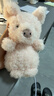 Jellycat小猪可爱公仔动物毛绒玩偶小玩偶娃娃送礼生日礼物 粉红色 Little 实拍图