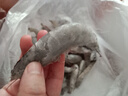 东上御品虾 青岛大虾基围虾鲜活青虾白虾海虾对虾冰虾冻虾生鲜 虾类 海鲜 3斤(净重)  气冻大虾【活虾速冻】 15-18cm【单只超大虾】 实拍图