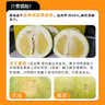 京鲜生泰国青柚 白蜜柚 1粒礼袋装 单果800g+ 【泰国皇室同款】端午水果 实拍图