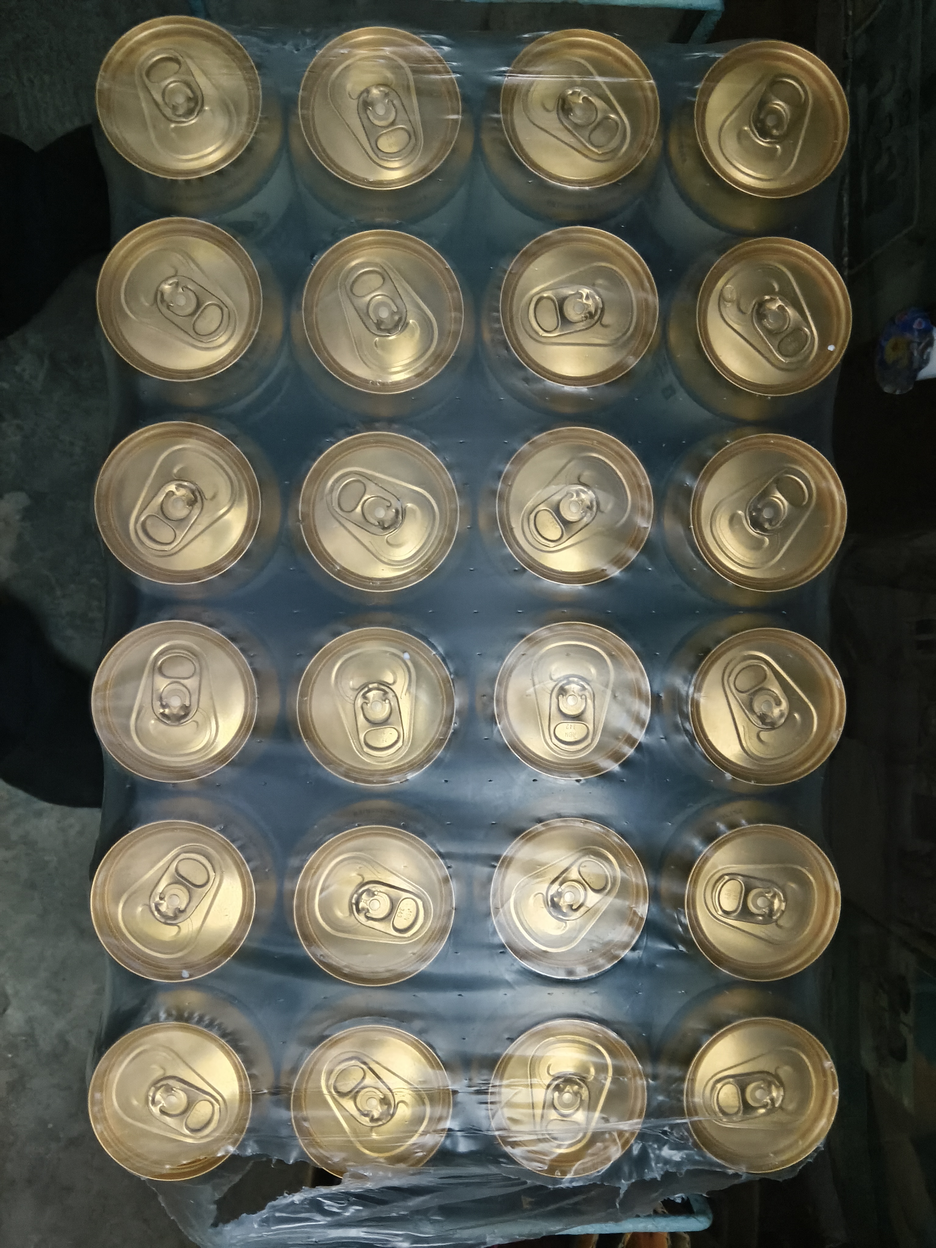 古象守护神德国原装进口小麦原浆啤酒 守护神小麦 500mL 24罐 26年9月2日到期 实拍图