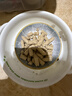 K9 Natural牛肉鳕鱼100g生骨肉主食冻干猫粮成猫幼猫通用 新西兰原装进口 实拍图