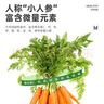 喜帅 烘干胡萝卜缨幼兔粮牧草垂耳兔粮干草龙猫豚鼠饲料500g净重/箱 实拍图