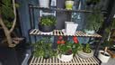 密林现代简约花架落地阳台铁艺客厅家用装饰花架盆景架 120cm三层黑 实拍图