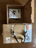 飞利浦（PHILIPS）骨传导蓝牙耳机专业运动跑步挂耳式真无线开放式不入耳夹式长续航高端降噪适用苹果华为TAA6609C黑 实拍图