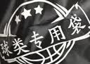 李宁排球中考专用标准比赛训练初中生5号成人儿童小学生软硬排五号球 实拍图