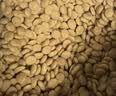 皇家猫粮 英短成猫粮 BS34 通用粮 12月以上 2KG 实拍图