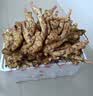 京地达山东带泥红芽嫩姜仔姜净重9斤单果50g+醋泡嫩姜源头直发包邮 实拍图