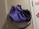 迪卡侬（DECATHLON）足球拎包20L健身包运动包返回绿茵场IVO2 20L活力紫 实拍图