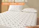 博洋家纺全棉棉花防水床笠席梦思床垫床褥子防尘床罩180*200cm韶锦白 实拍图