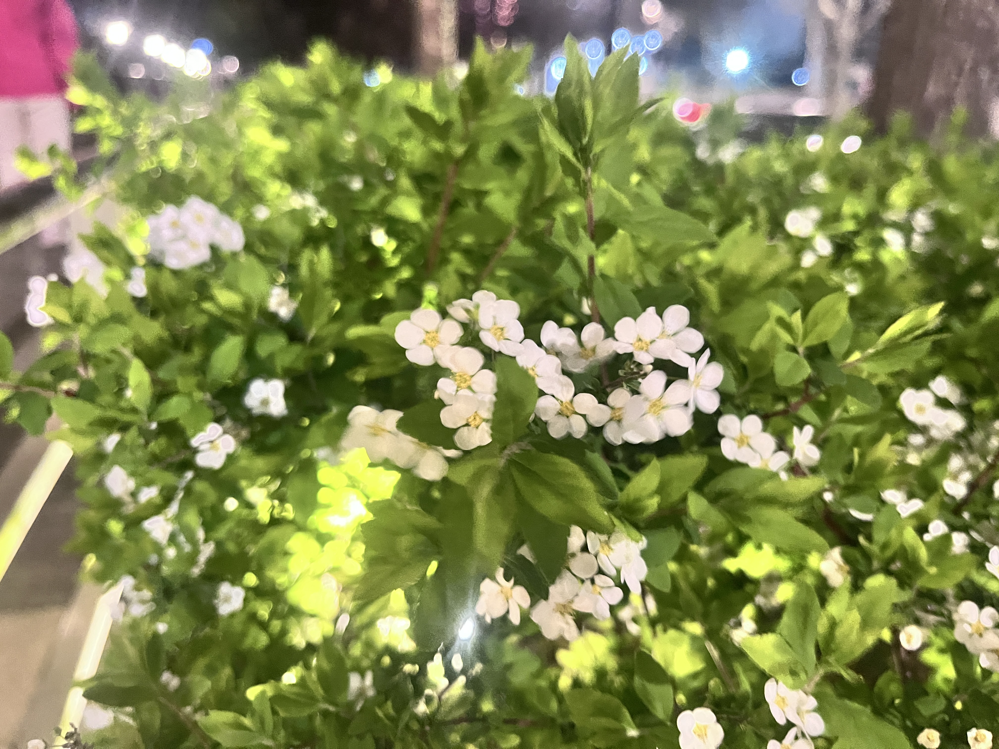 金刚网防蚊门帘家用高档磁吸门帘夏季防蚊纱门磁铁自粘纱窗免打孔 灰太狼的灰色30对磁铁 定制尺寸先联系客服，勿自拍 实拍图