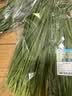 有机韭菜 250g 实拍图