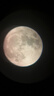 星特朗天秤805高清高倍大口径专业观景观天天文望远镜学生科普生日礼物 实拍图