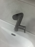 恒洁（HEGII）面盆水龙头 卫生间浴室抽拉升降漱口水冷热水龙头HMF929B-115-SH 实拍图