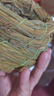 派乐特 鸟窝草编草窝鸟繁殖窝鸟巢用品用具 葫芦形M 实拍图