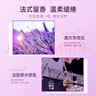 拉芳 多姿花香水润沐浴露大容量滋润保湿芳香沐浴乳男女 【大容量】薰衣草香氛沐浴露2kg 实拍图