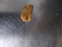 网红香酥小麻花单独包装椒盐红糖手工办公室解馋休闲零食饼干整箱 混合小麻花300包 实拍图